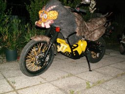 Umbau meiner XTZ750
